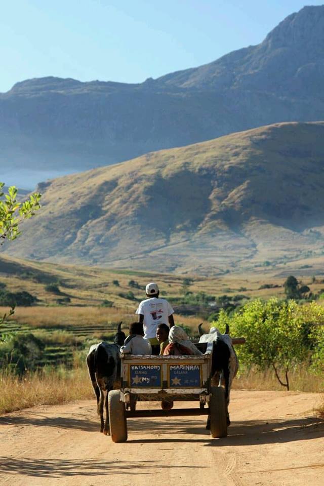 Moyen de transport rural à Madagascar, louant son patrimoine naturel