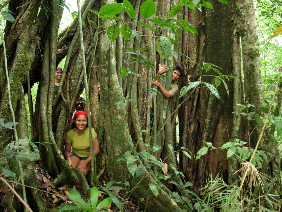 Au cœur de l’écosystème de Costa Rica